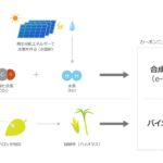CN燃料のうちe-fuelとバイオ燃料の製造法