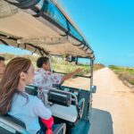 津堅島内をEVカートで巡回運行する様子(提供:イメイド)