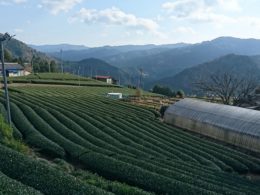 春野町の風景(提供:浜松市)