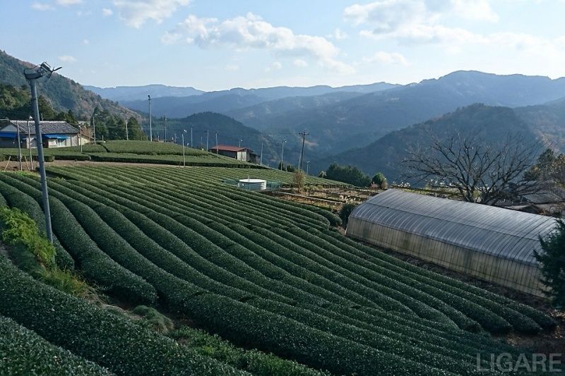 春野町の風景(提供:浜松市)