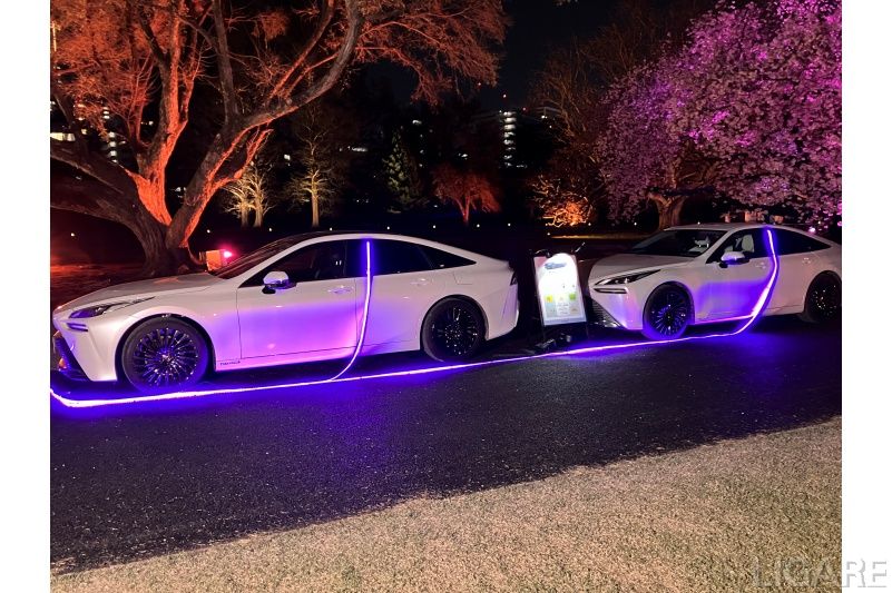 夜桜彩る電力をFCEVで提供