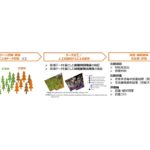 実証実験フロー