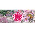 HIS、熱海で「グリーンスローモビリティ」活用した観光実証を実施 インバウンド向け周遊ツアーも造成