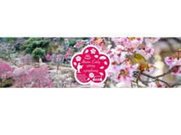 HIS、熱海で「グリーンスローモビリティ」活用した観光実証を実施　インバウンド向け周遊ツアーも造成