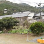 ドローンが生産者の畑に到着する様子