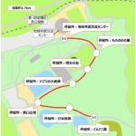 自動運転バスの園内走行路線