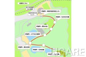 自動運転バスの園内走行路線